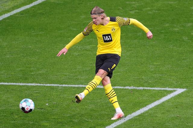 新任主教练 新任主教练