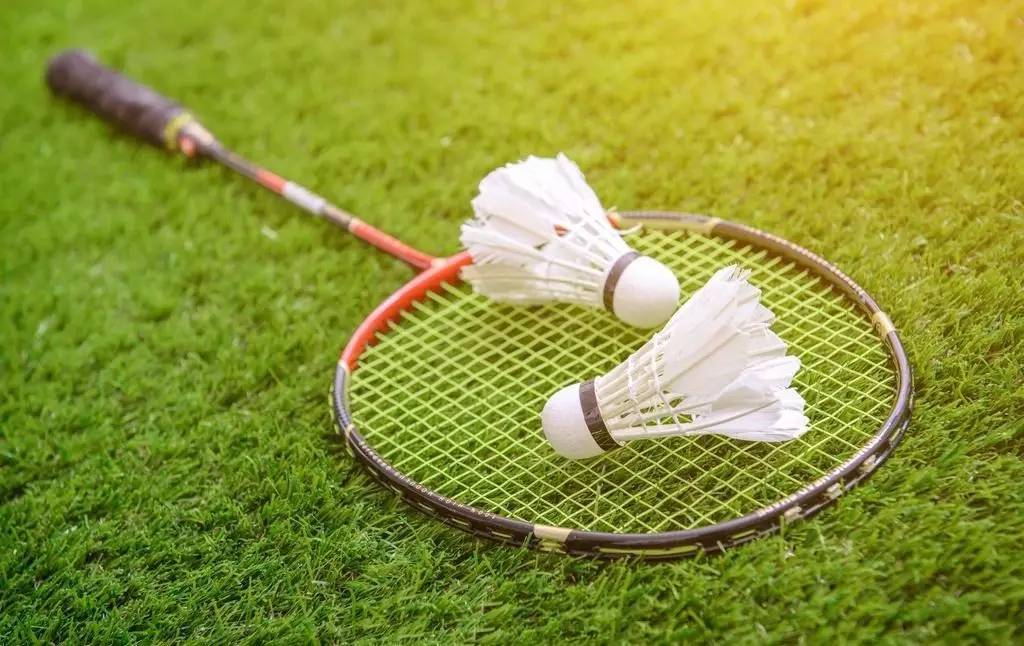 自由式滑雪 自由式滑雪