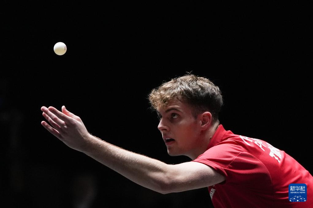 样决定了结 样决定了结