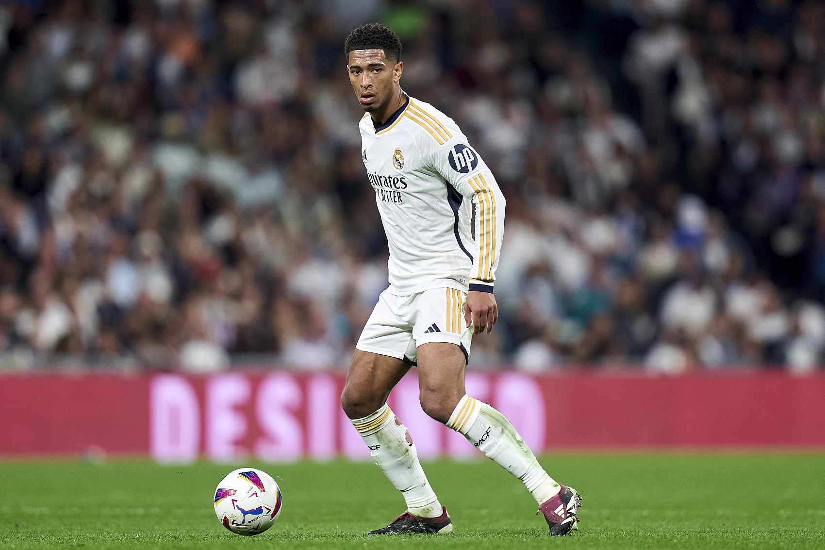 得更多的上 得更多的上