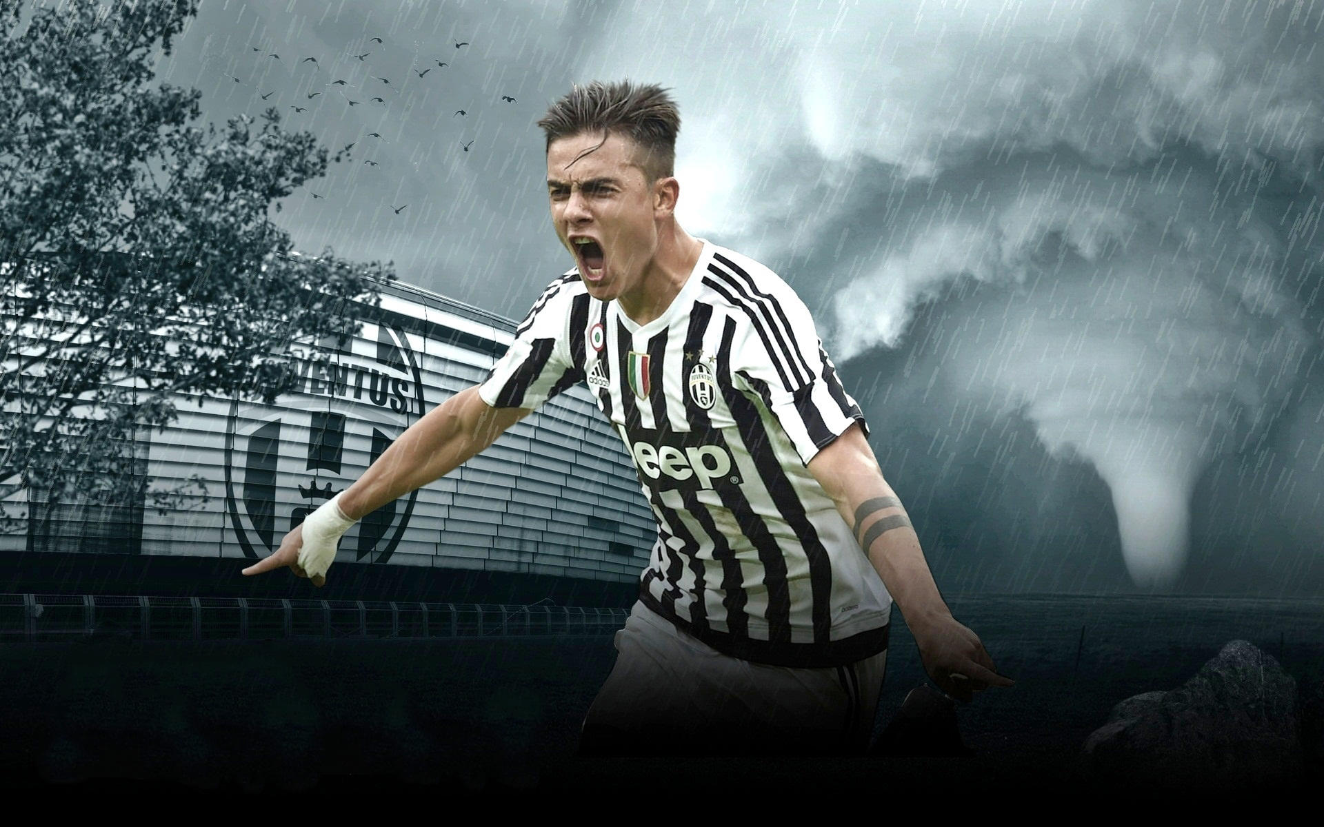 中期再读 中期再读